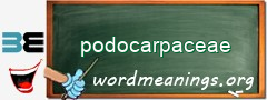 WordMeaning blackboard for podocarpaceae